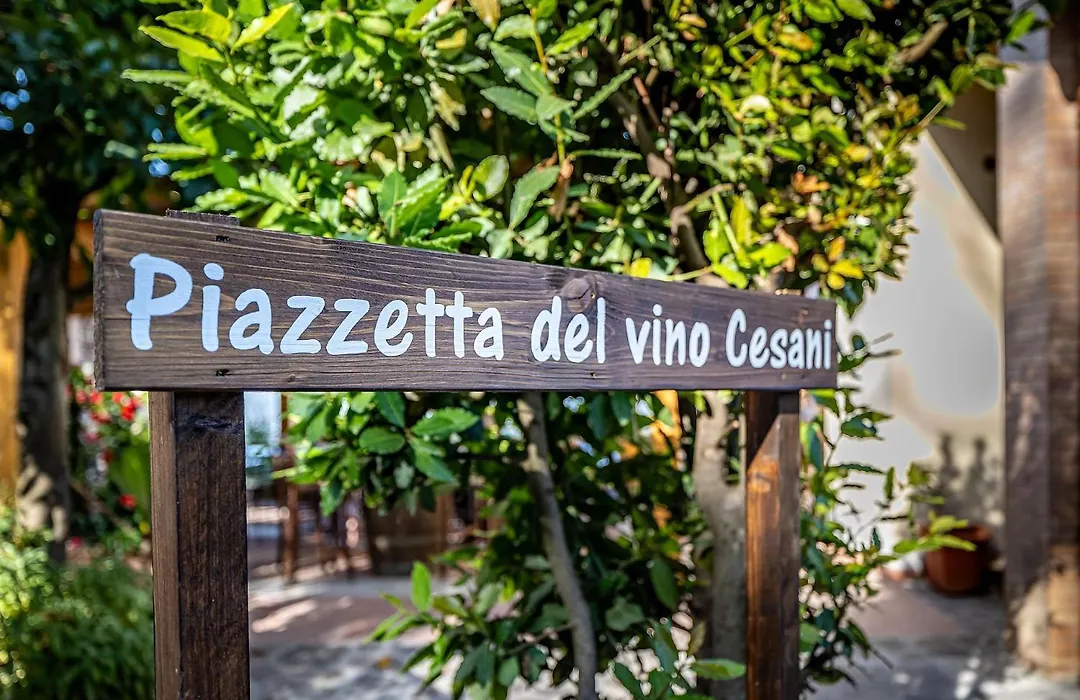 Agriturismo Cesani-1